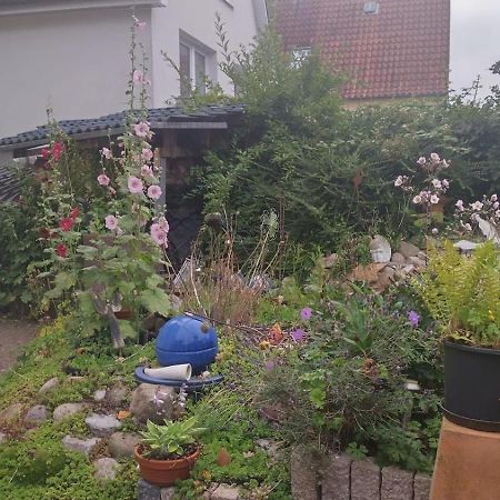 Charmante Ferienwohnung Plön Eksteriør billede